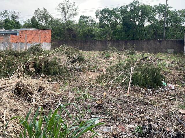 #383-Pedro - Área para Venda em Cuiabá - MT